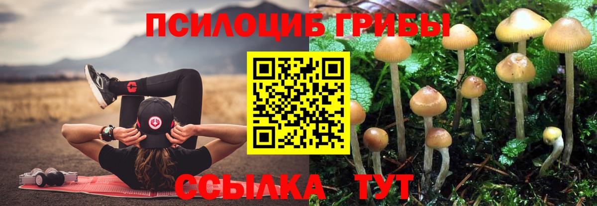 Галлюциногенные грибы прущие грибы Кызыл